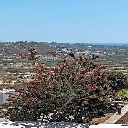 فندق Halcyon And Naxos
